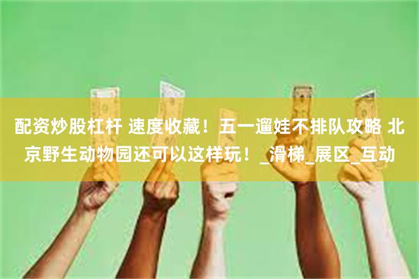 配资炒股杠杆 速度收藏！五一遛娃不排队攻略 北京野生动物园还可以这样玩！_滑梯_展区_互动