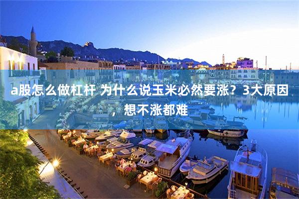 a股怎么做杠杆 为什么说玉米必然要涨？3大原因，想不涨都难