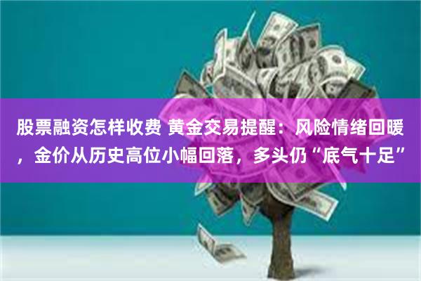 股票融资怎样收费 黄金交易提醒：风险情绪回暖，金价从历史高位小幅回落，多头仍“底气十足”