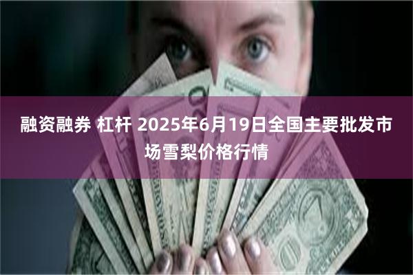 融资融券 杠杆 2025年6月19日全国主要批发市场雪梨价格行情