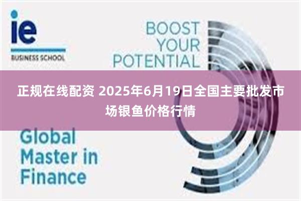正规在线配资 2025年6月19日全国主要批发市场银鱼价格行情