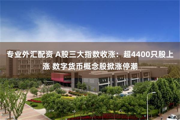 专业外汇配资 A股三大指数收涨：超4400只股上涨 数字货币概念股掀涨停潮