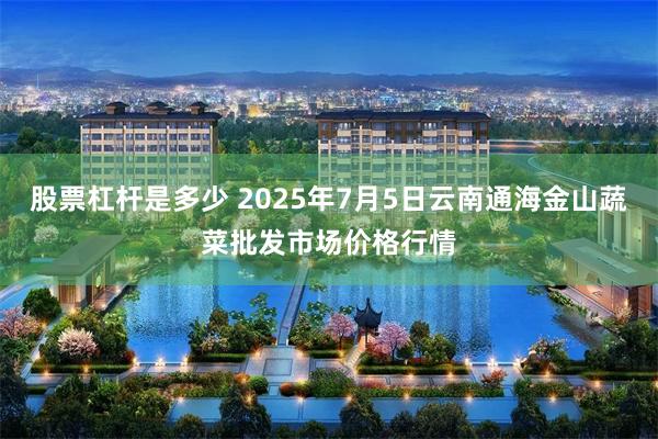 股票杠杆是多少 2025年7月5日云南通海金山蔬菜批发市场价格行情
