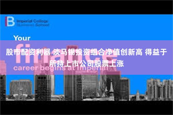 股市配资利器 淡马锡投资组合净值创新高 得益于所持上市公司股票上涨