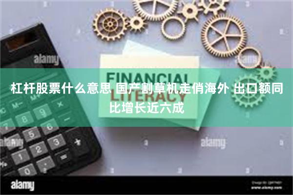 杠杆股票什么意思 国产割草机走俏海外 出口额同比增长近六成