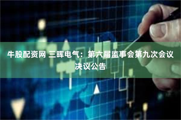 牛股配资网 三晖电气：第六届监事会第九次会议决议公告