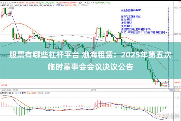 股票有哪些杠杆平台 渤海租赁：2025年第五次临时董事会会议决议公告