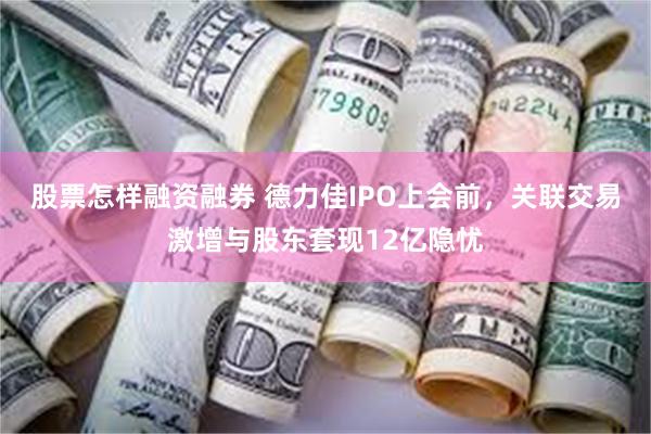 股票怎样融资融券 德力佳IPO上会前，关联交易激增与股东套现12亿隐忧