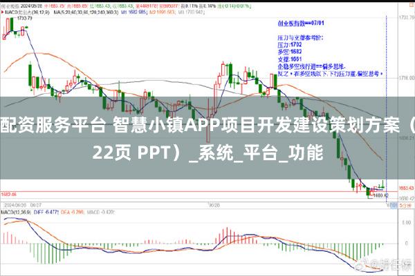 配资服务平台 智慧小镇APP项目开发建设策划方案（22页 PPT）_系统_平台_功能