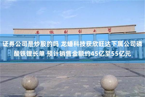 证券公司是炒股的吗 龙蟠科技获欣旺达下属公司磷酸铁锂长单 预计销售金额约45亿至55亿元