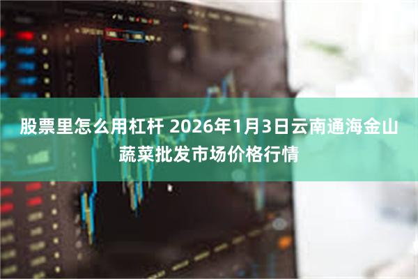股票里怎么用杠杆 2026年1月3日云南通海金山蔬菜批发市场价格行情