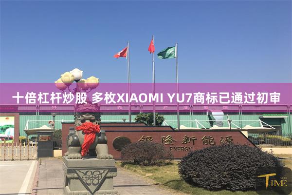 十倍杠杆炒股 多枚XIAOMI YU7商标已通过初审