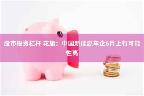 股市投资杠杆 花旗：中国新能源车企6月上行可能性高