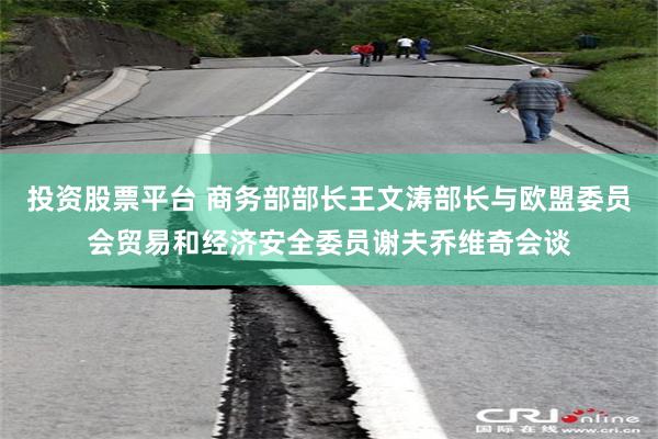 投资股票平台 商务部部长王文涛部长与欧盟委员会贸易和经济安全委员谢夫乔维奇会谈