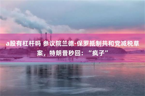 a股有杠杆吗 参议院兰德·保罗抵制共和党减税草案，特朗普秒回：“疯子”