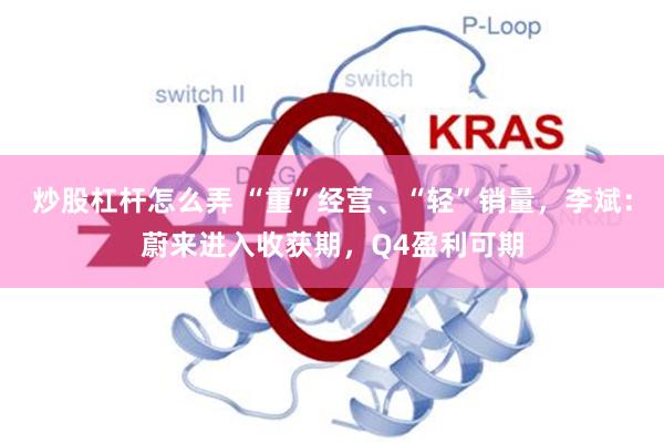 炒股杠杆怎么弄 “重”经营、“轻”销量，李斌：蔚来进入收获期，Q4盈利可期