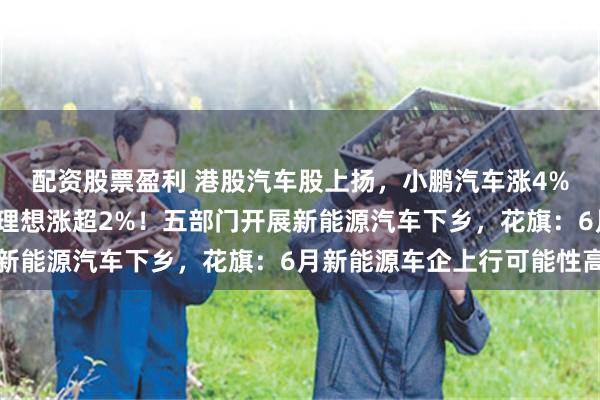 配资股票盈利 港股汽车股上扬，小鹏汽车涨4%，吉利汽车涨超3%，理想涨超2%！五部门开展新能源汽车下乡，花旗：6月新能源车企上行可能性高