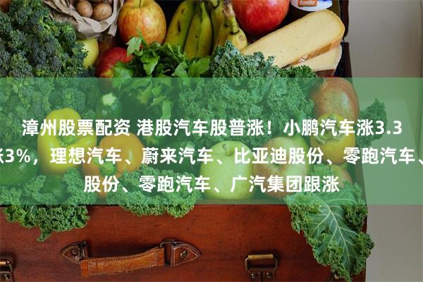 漳州股票配资 港股汽车股普涨！小鹏汽车涨3.3%，吉利汽车涨3%，理想汽车、蔚来汽车、比亚迪股份、零跑汽车、广汽集团跟涨