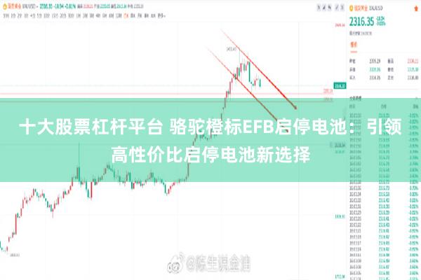 十大股票杠杆平台 骆驼橙标EFB启停电池：引领高性价比启停电池新选择