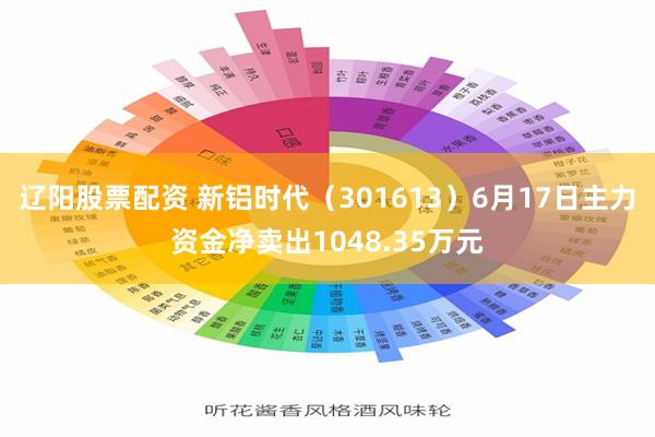 辽阳股票配资 新铝时代（301613）6月17日主力资金净卖出1048.35万元