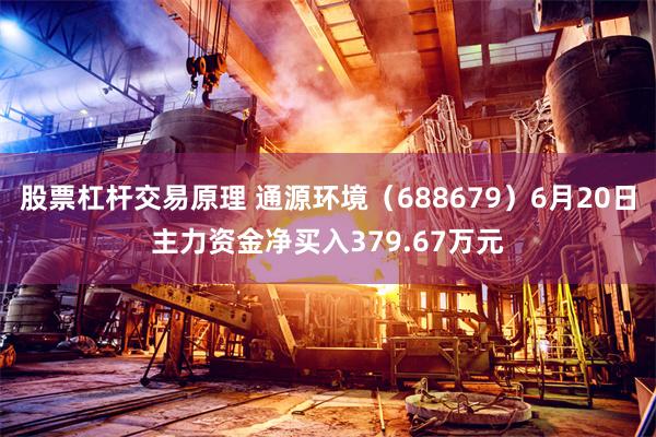 股票杠杆交易原理 通源环境（688679）6月20日主力资金净买入379.67万元