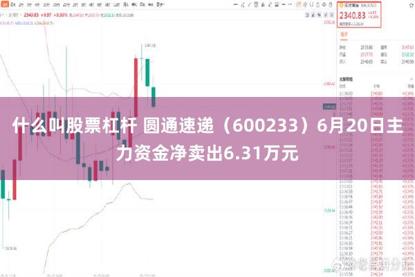 什么叫股票杠杆 圆通速递（600233）6月20日主力资金净卖出6.31万元