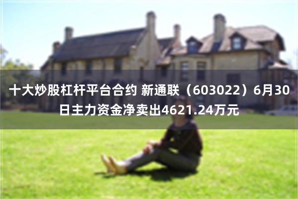 十大炒股杠杆平台合约 新通联（603022）6月30日主力资金净卖出4621.24万元
