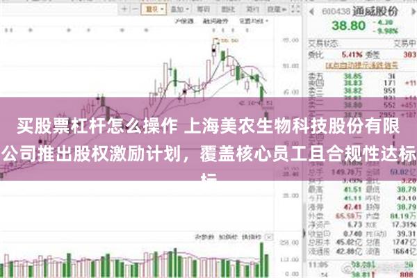 买股票杠杆怎么操作 上海美农生物科技股份有限公司推出股权激励计划，覆盖核心员工且合规性达标