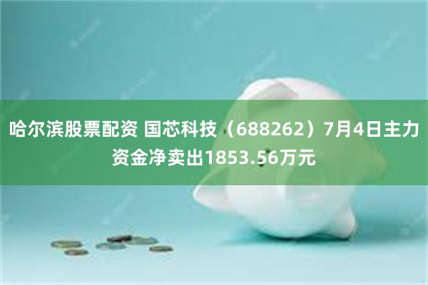 哈尔滨股票配资 国芯科技（688262）7月4日主力资金净卖出1853.56万元