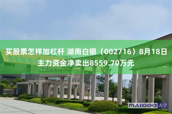 买股票怎样加杠杆 湖南白银（002716）8月18日主力资金净卖出8559.70万元