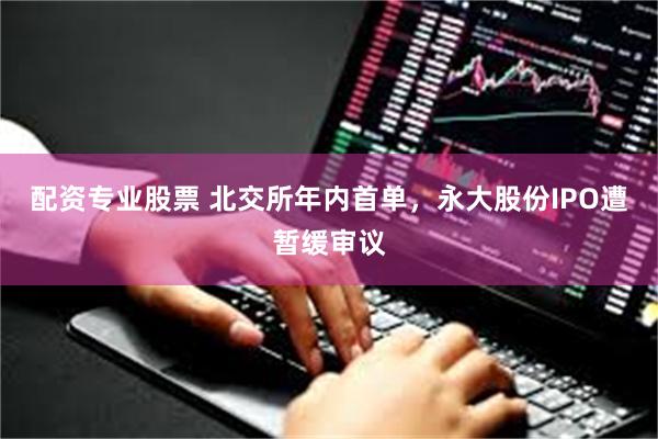 配资专业股票 北交所年内首单，永大股份IPO遭暂缓审议