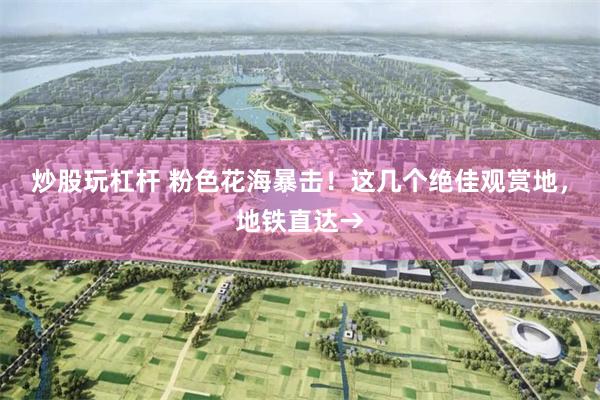 炒股玩杠杆 粉色花海暴击！这几个绝佳观赏地，地铁直达→