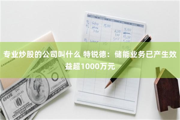 专业炒股的公司叫什么 特锐德：储能业务已产生效益超1000万元
