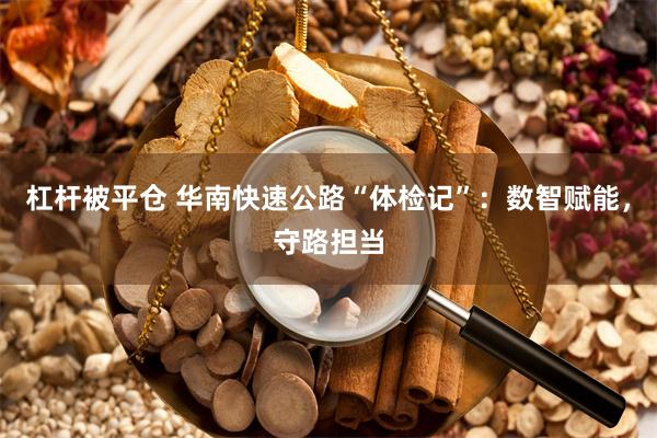 杠杆被平仓 华南快速公路“体检记”：数智赋能，守路担当