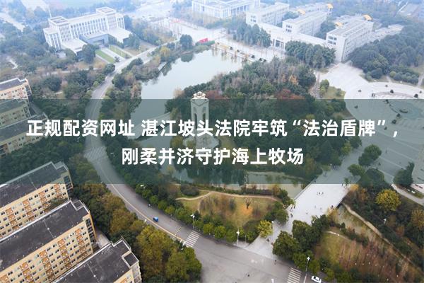 正规配资网址 湛江坡头法院牢筑“法治盾牌”，刚柔并济守护海上牧场