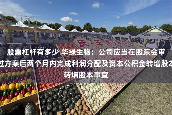 股票杠杆有多少 华绿生物：公司应当在股东会审议通过方案后两个月内完成利润分配及资本公积金转增股本事宜