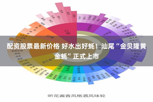 配资股票最新价格 好水出好蚝！汕尾“金贝隆黄金蚝”正式上市