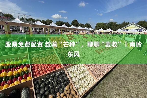 股票免费配资 趁着“芒种”，聊聊“麦收”丨南岭东风