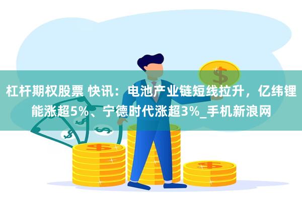 杠杆期权股票 快讯：电池产业链短线拉升，亿纬锂能涨超5%、宁德时代涨超3%_手机新浪网