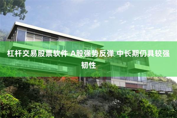 杠杆交易股票软件 A股强势反弹 中长期仍具较强韧性