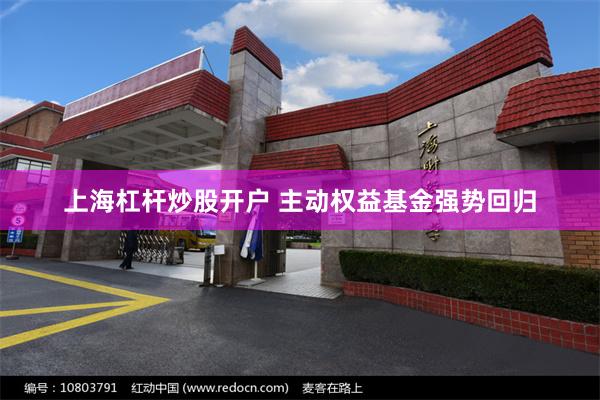 上海杠杆炒股开户 主动权益基金强势回归