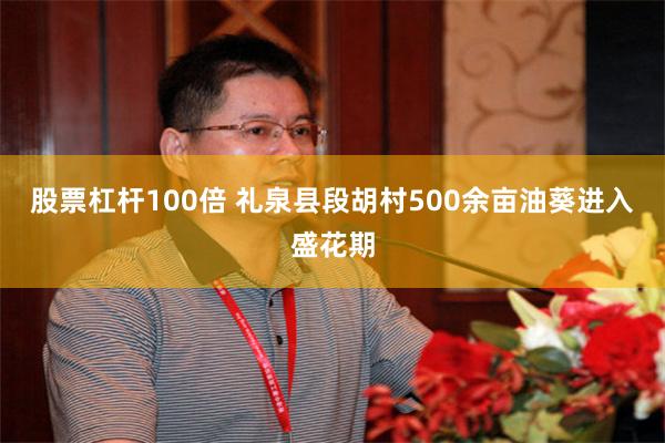 股票杠杆100倍 礼泉县段胡村500余亩油葵进入盛花期