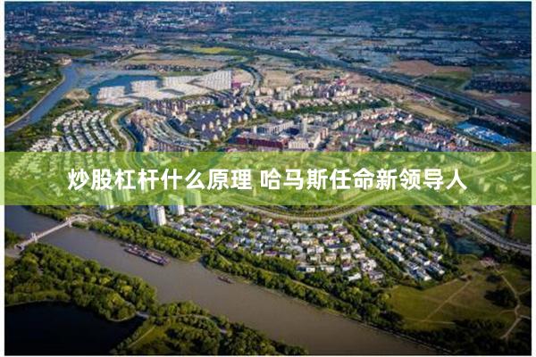 炒股杠杆什么原理 哈马斯任命新领导人