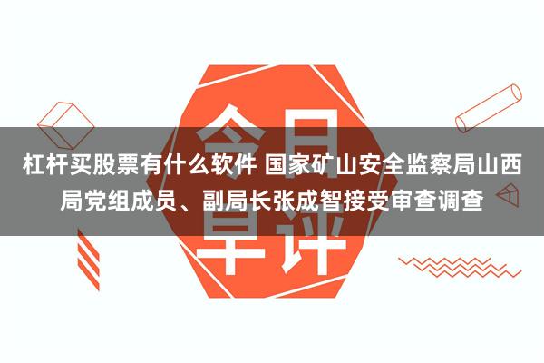 杠杆买股票有什么软件 国家矿山安全监察局山西局党组成员、副局长张成智接受审查调查