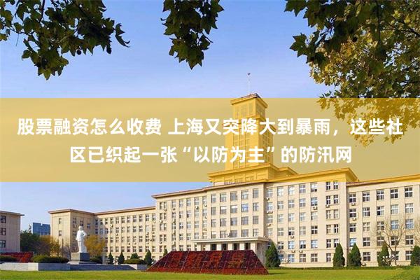 股票融资怎么收费 上海又突降大到暴雨,这些社区已织起一张“以防为主”的防汛网