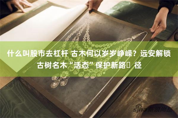 什么叫股市去杠杆 古木何以岁岁峥嵘？远安解锁古树名木“活态”保护新路​径