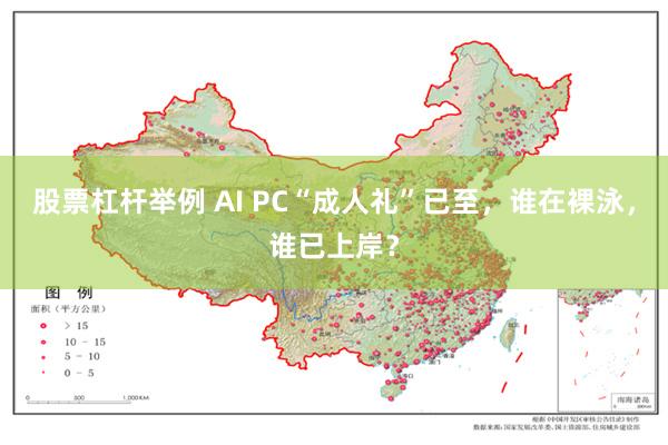 股票杠杆举例 AI PC“成人礼”已至,谁在裸泳,谁已上岸?