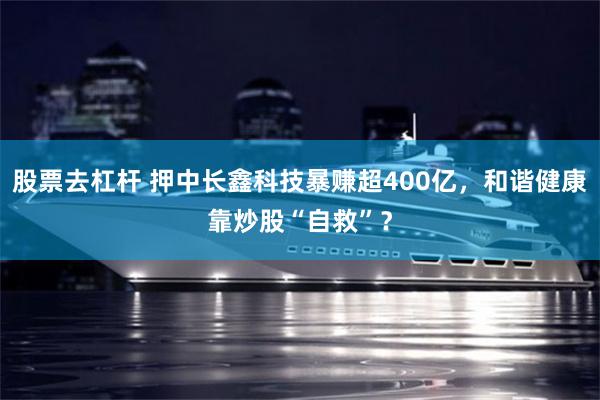 股票去杠杆 押中长鑫科技暴赚超400亿，和谐健康靠炒股“自救”？